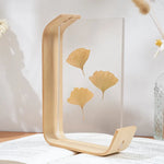 support livre transparent feuilles séchées fleurs séchées moderne minimaliste