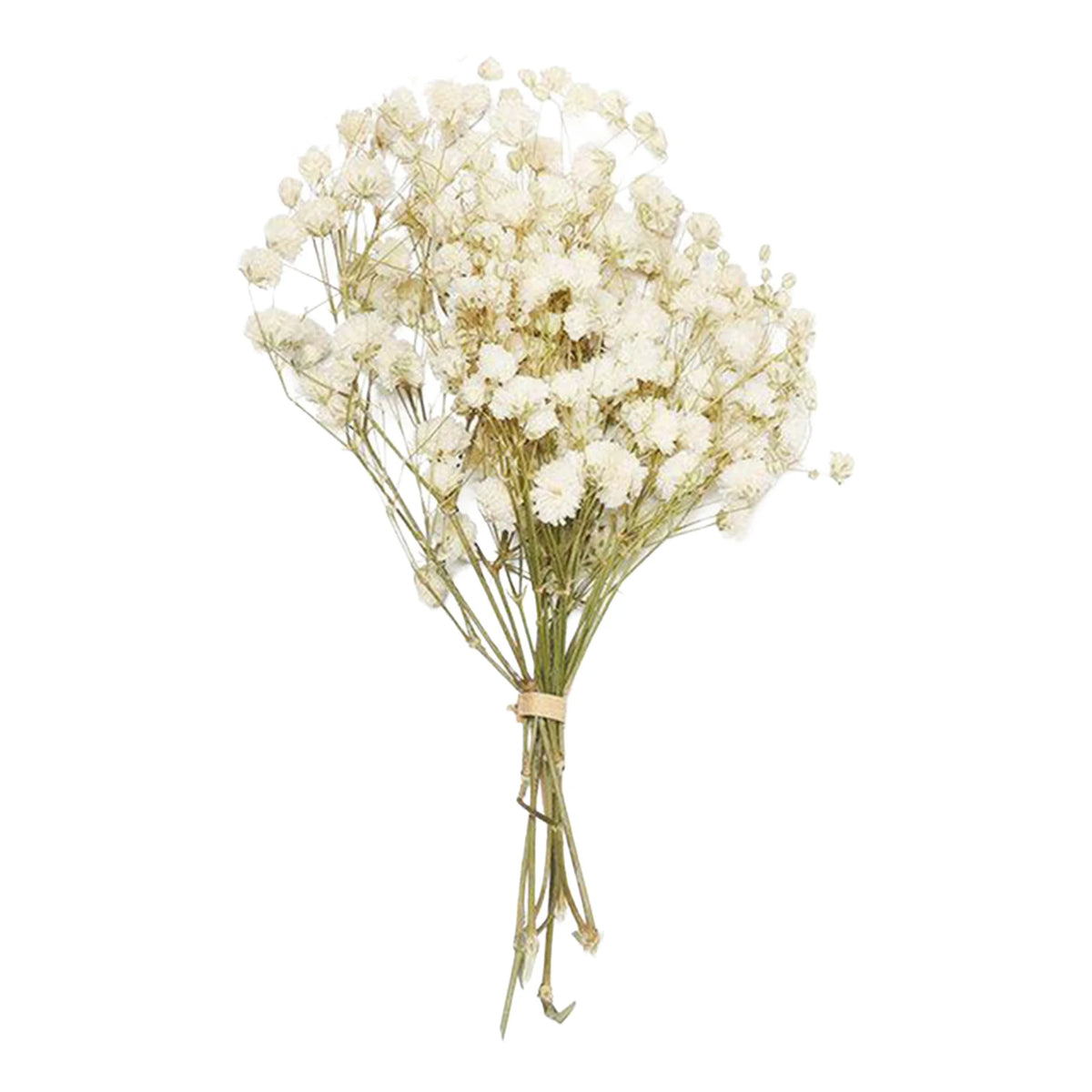 bouquet fleurs séchées baby's breath gypsophile herbe amours décoration mariage intérieur vase transparent