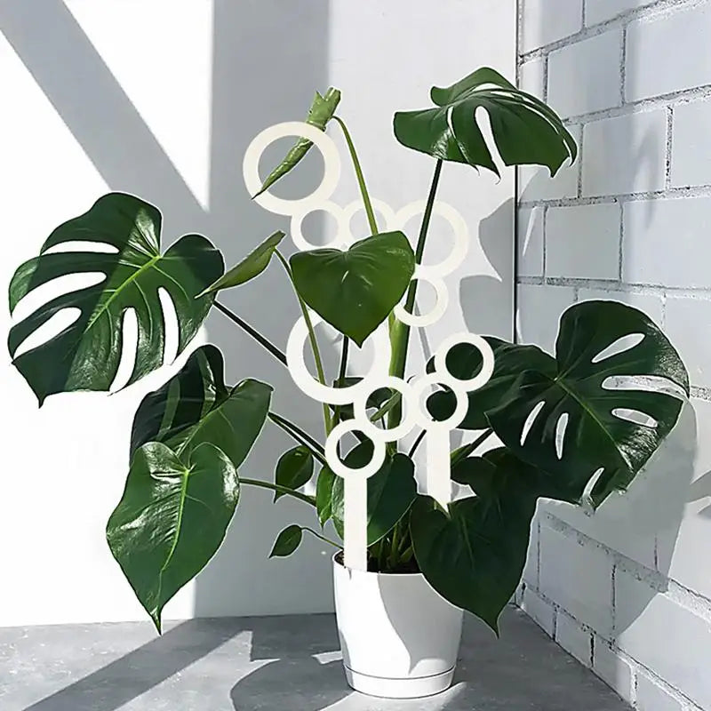 support plante blanc moderne cercles géométriques opacité intérieur extérieur decoration jardin