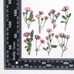 fleurs séchées rouge rose violet bleu jaune feuilles vertes décoration maison scrapbooking diy