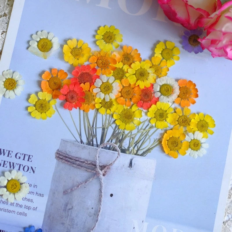 fleurs séchées multicolores bijoux résine décoration ongles maison intérieure artisanal anniversaire naturelles