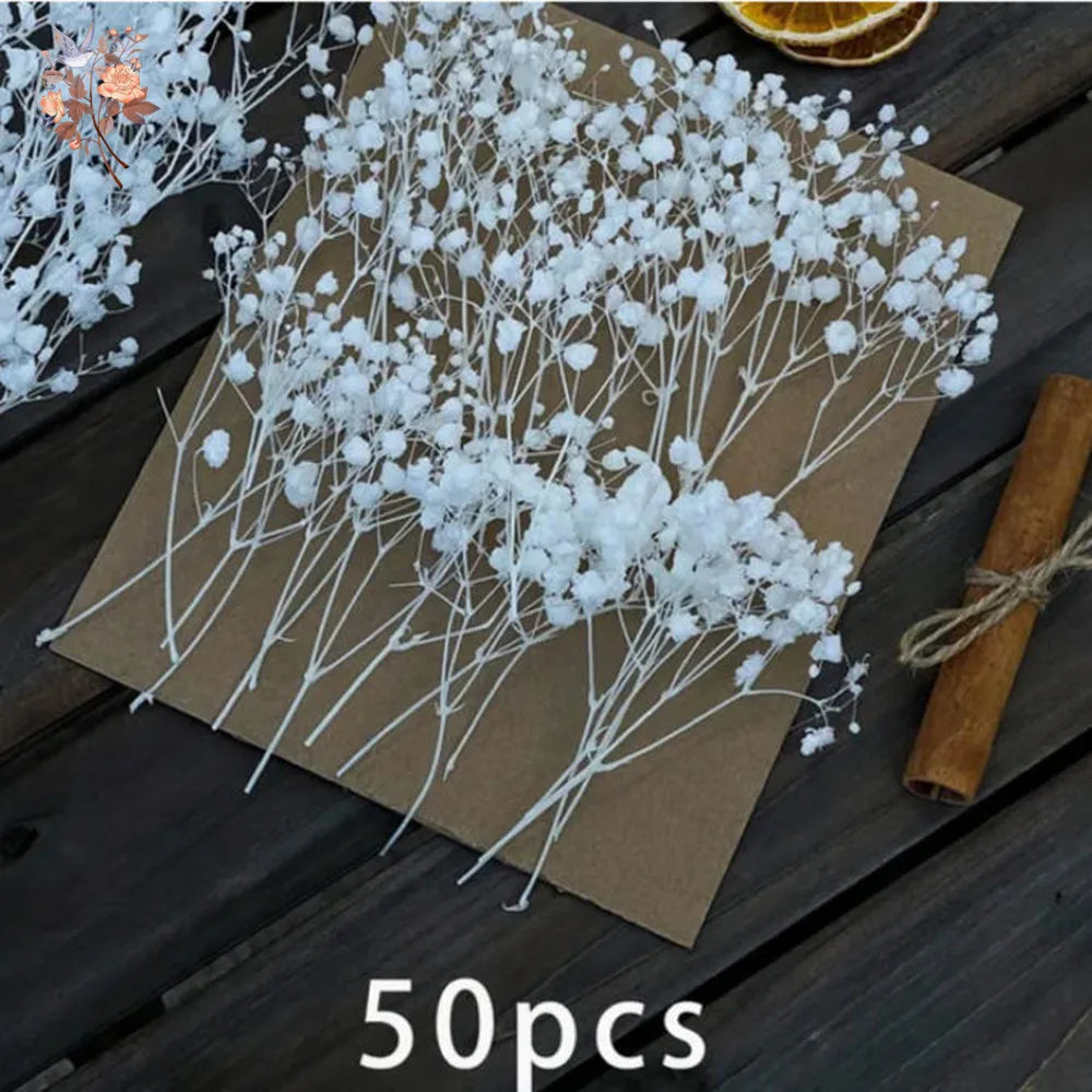 fleurs séchées blanches mini bouquet 50 pièces décoration naturelle artisanale maison mariage