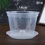 pots semis transparents perforés pratique plateau fleur verte plastique moderne