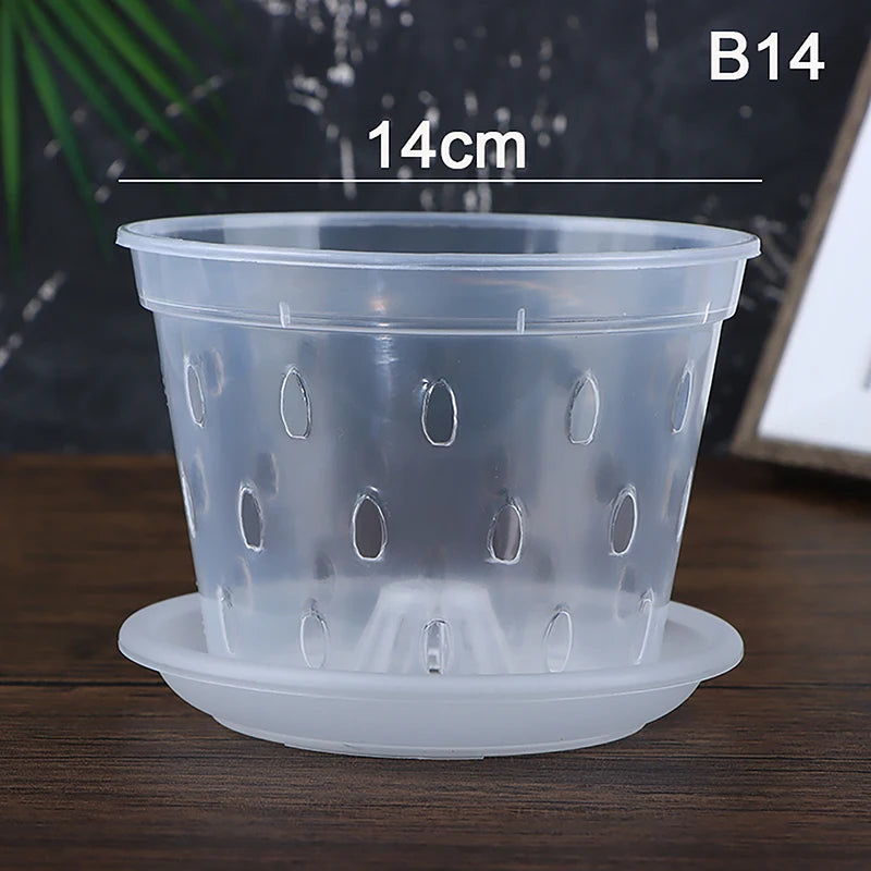 pots semis transparents perforés pratique plateau fleur verte plastique moderne