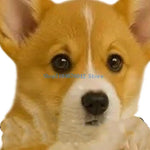 porte rouleau papier toilette forme chien peluche blanc decoratif résine facile nettoyer classique