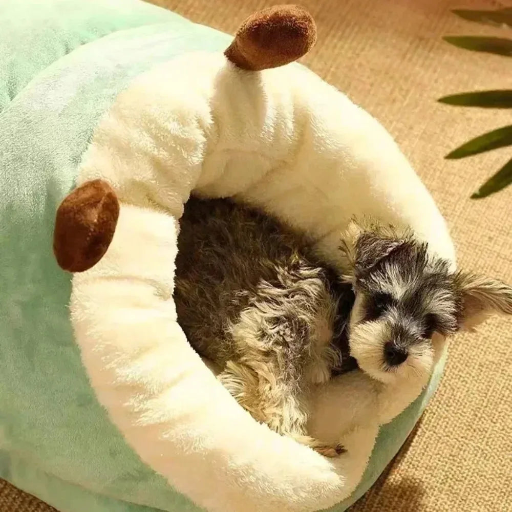 lit doux velours vert chat chien confortable arrondi 100 coton lavable size