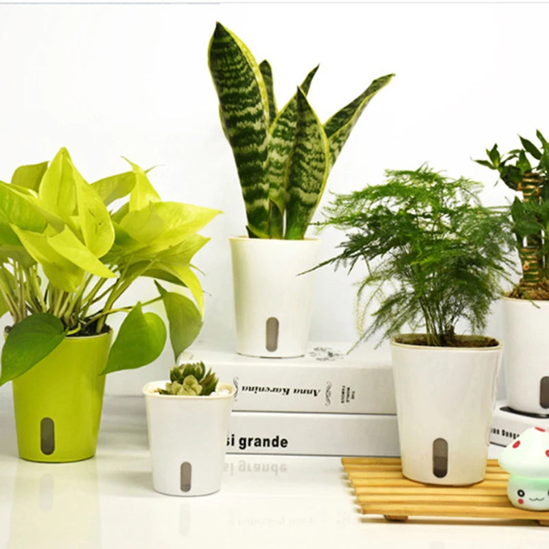 pots plante moderne mini blanc vert bleu solide unisexe opacité décoration intérieure jardin fleurs