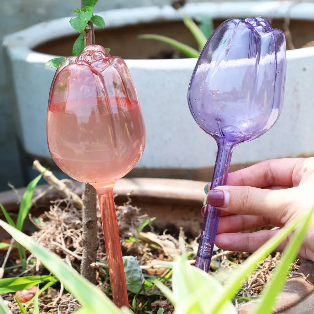 pique plantes tulipe plastique rose violet blanc translucide moderne adhésif kit arrosage
