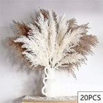bouquets séchés naturels feuilles fines fleurs blanches plumes beige rustique décoration maison anniversaire baby