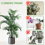 treillis support plantes grimpantes vert foncé structure grille 12 pièces pots fleurs décoration jardin