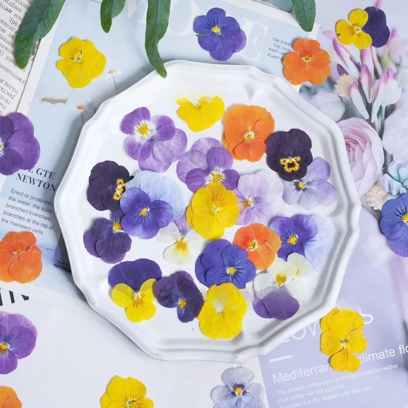 fleurs pressées violettes jaunes oranges decoration moderne assiette decoupe anniversaire intérieur maison