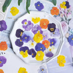 fleurs pressées violettes jaunes oranges decoration moderne assiette decoupe anniversaire intérieur maison