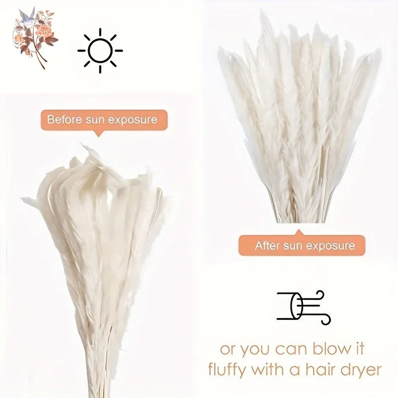 plumes pampas séchées blanches décorations fleurs naturelles rustiques mariage maison intérieur bouquet