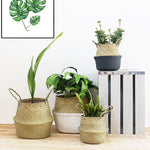 panier pliable tissage paille naturel rustique poignées porte plantes decoration maison