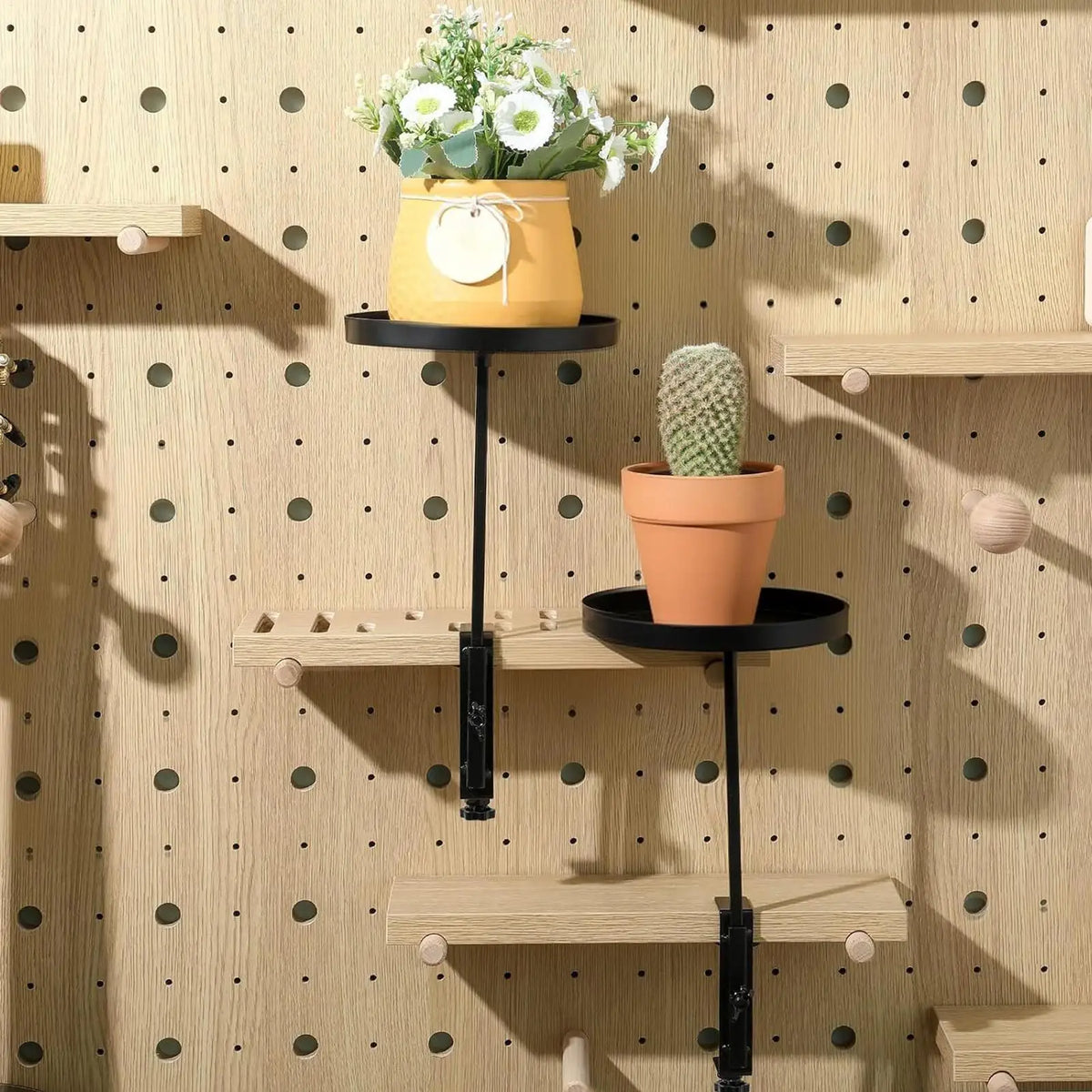 support mural plantes clips plateau moderneintérieur étagère plante fixations noires minimalisteplatines