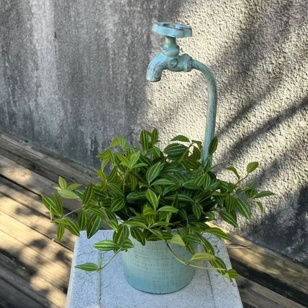 pots fleurs métal rustique noir blanc vert textures vieillies decoratifsextérieurintérieur