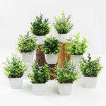 décoration intérieure plante artificielle eucalyptus bonsaï vert feuilles fines moderne sans entretien pot blanc
