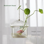 ampoules verre transparentes modernes opalescentes cordelette boutons fixation pot plantes minimaliste