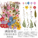 fleurs séchées multicolores naturelles variées feuilles séchées décor maison artisanat enfant autocollants journal
