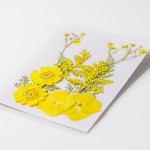 fleurs séchées plantes écologiques intérieur anniversaire baby shower exposition minimalistes cartes postales ornementales fixations