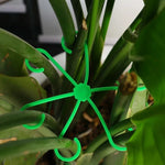 pinces support tiges plantes étoile verte boucles hydroponie maintien branches pots fleurs