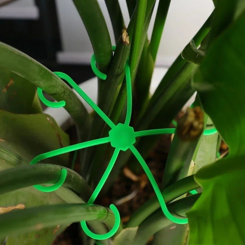pinces support tiges plantes étoile verte boucles hydroponie maintien branches pots fleurs