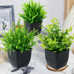 plantes artificielles vertes feuilles fines moderne pot noir extérieur décoration anniversaire mariage