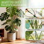 support plante grimpante vert moderne clips ficelle ruban nylon inclusion set jardin fixations
