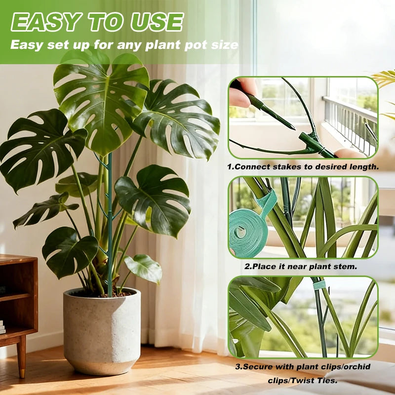 support plante grimpante vert moderne clips ficelle ruban nylon inclusion set jardin fixations