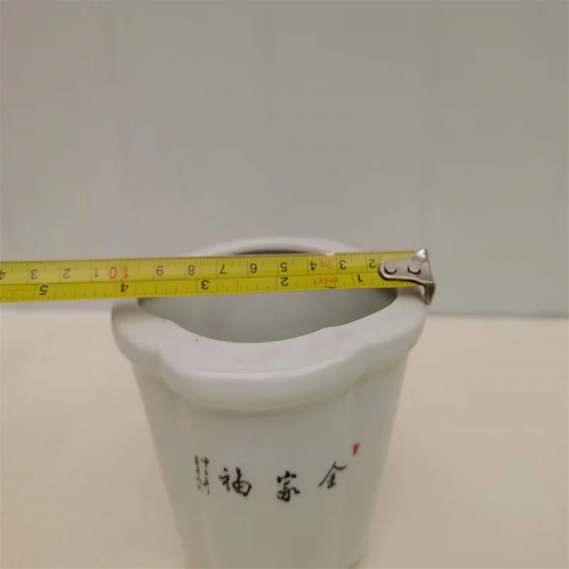 Pot de fleur porcelaine avec plante verte