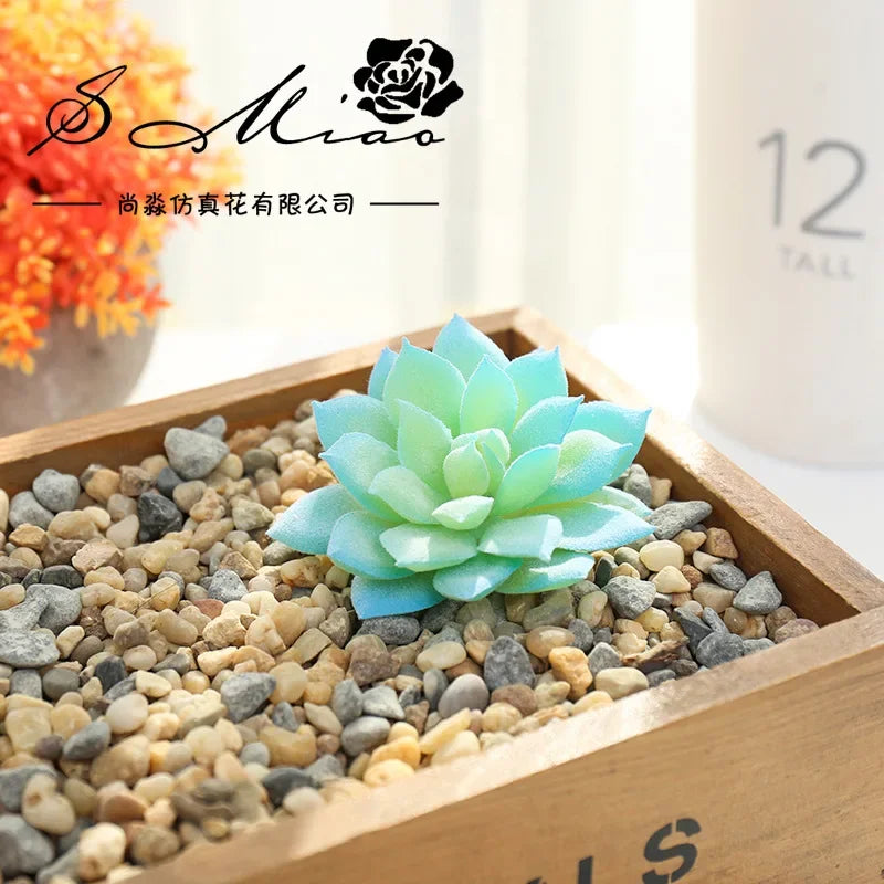 plantes succulentes artificielles vert feuilles pointues réaliste gravier boîte bois extérieur anniversaire exposantDecoration