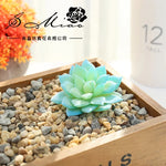 plantes succulentes artificielles vert feuilles pointues réaliste gravier boîte bois extérieur anniversaire exposantDecoration