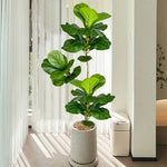 Plante artificielle ficus grande feuilles vert moderne décoration extérieure intérieure 100cm 150cm