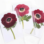 cartes postales fleurs pressées violet rouge classique adhésif intérieur anniversaire baby shower graduation