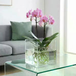 cube verre transparent moderne pot culture plantes intérieur extérieur 8cm 10cm 12cm 15cm 18cm
