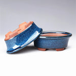 cache pot céramique bleu rose texture granuleuse classique décoration intérieure fleur plante verte non