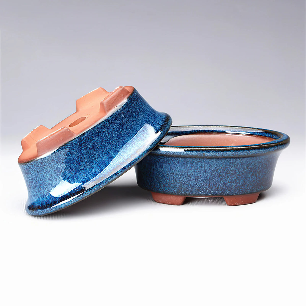 cache pot céramique bleu rose texture granuleuse classique décoration intérieure fleur plante verte non