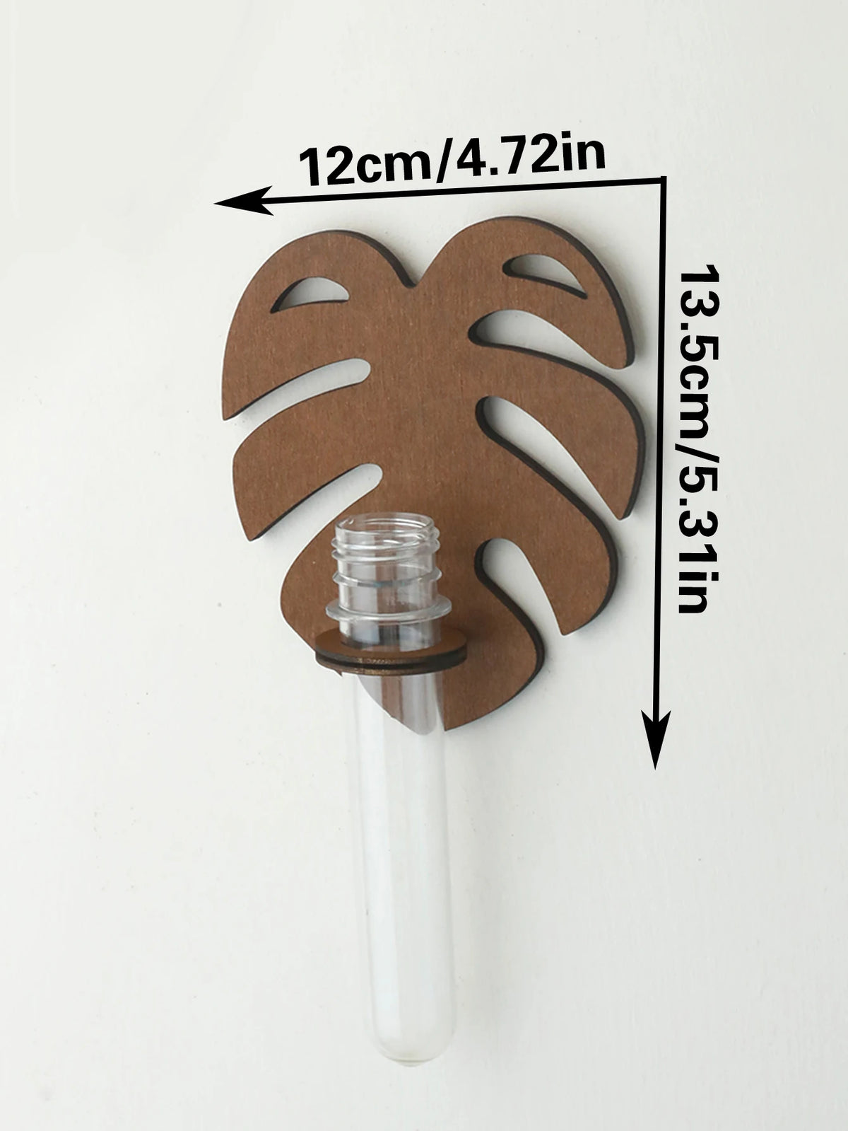 Support mural moderne feuille Monstera clips métalliques plante verte tube verre transparent chambre salon