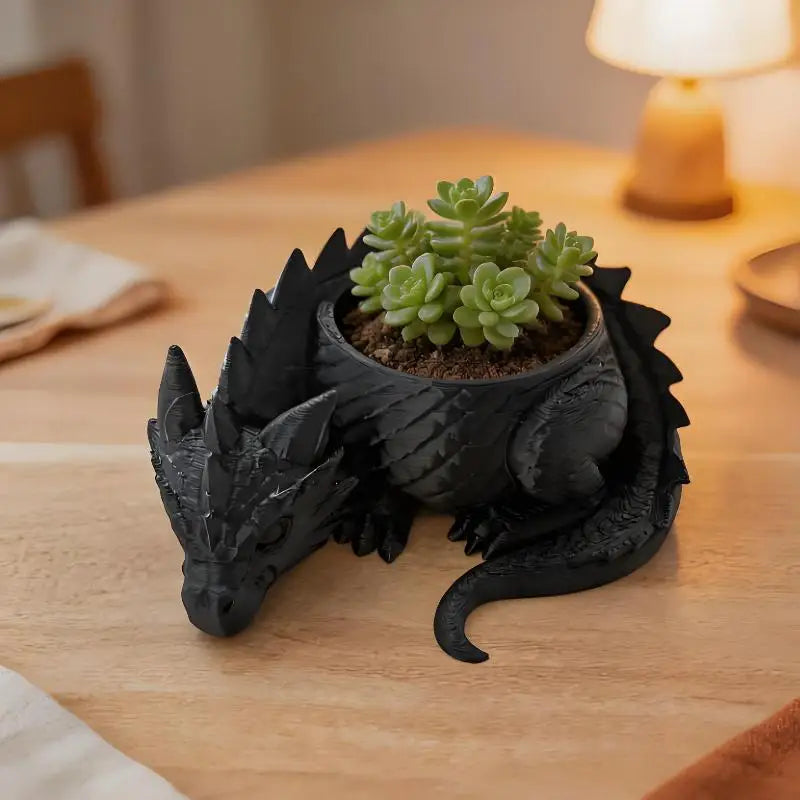 cache plante dragon noir blanc écaille fantaisie articulé succulentes