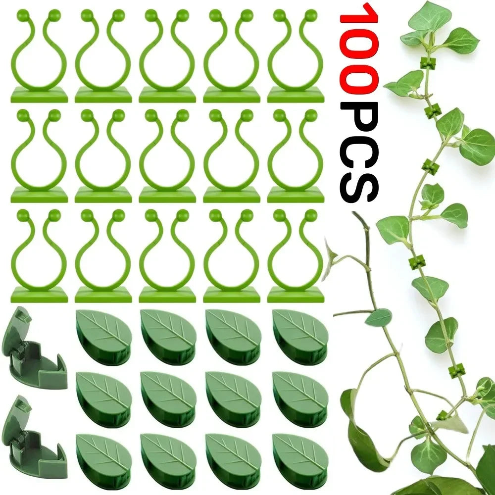 clips fixation murale plantes grimpantes support jardin vert motif feuilles adhésif invisible accessoires