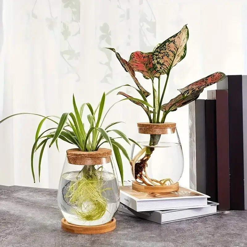 vases verre transparent base bois moderne decoration intérieure plantes socle couvercle liège discoardo