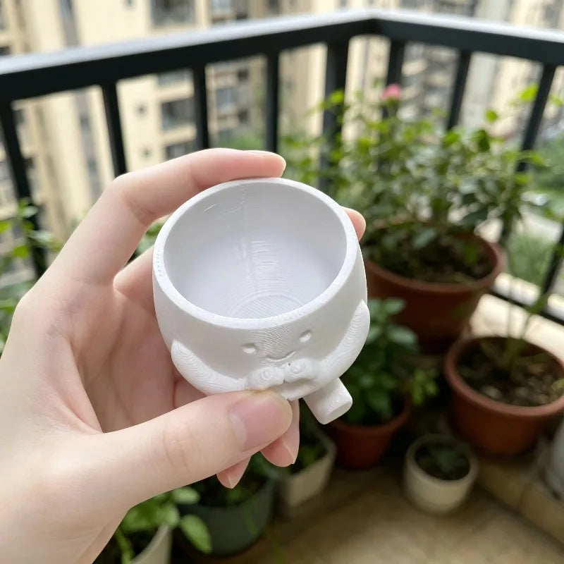 pots fleurs forme cœur blanc plante verte peperomia aspect texturé 3d mignon ludiqueintérieur maison
