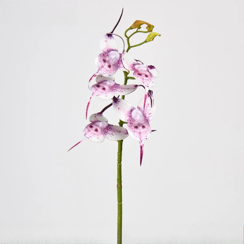 bouquet artificiel blanc orchidée moderne décoration maison anniversaire mariageintérieur