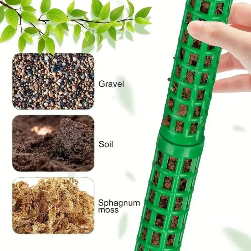 support plantes grimpantes mural blanc moderne vert noir fixe pointe métallique fonctionnelintérieur organisateuraccueilaccessoiremaison