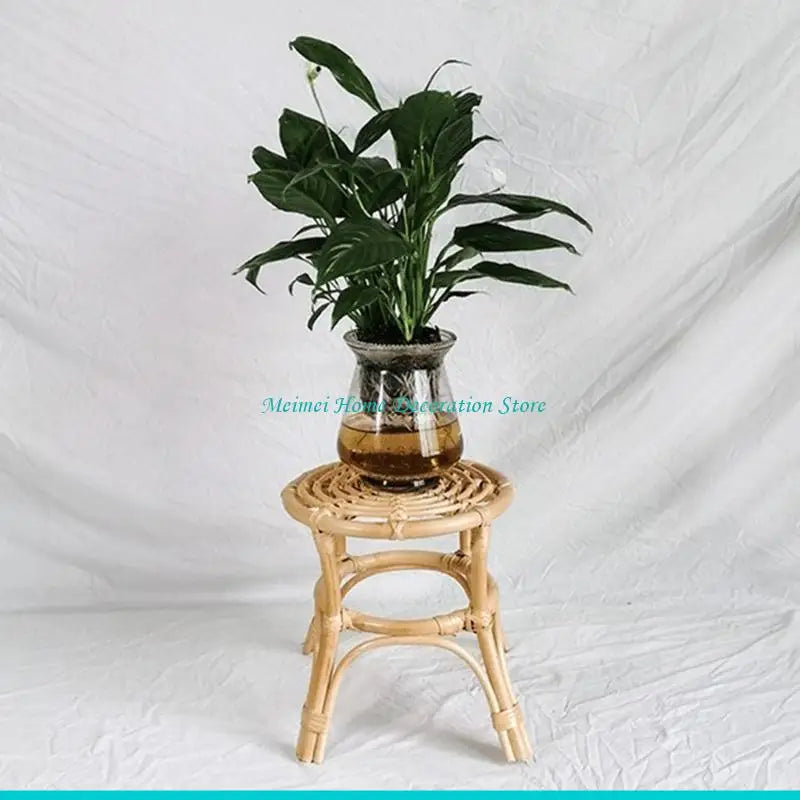 tabourets bois spirales bohèmes rustiques naturels plante verte pot verreintérieur decoration