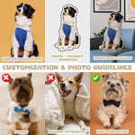 coussin personnalisé photo animaux gris blanc bleu rayures collier back to school décoration maison