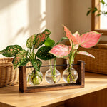 support plantes verre moderne bois marron clair vase transparent feuilles vertes multicoloresintérieur décoration