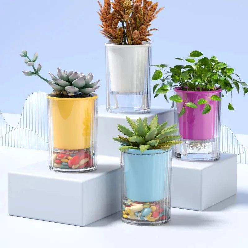 cache pot transparent moderne jaune blanc vert bleu violet adhésif intérieur maison grains colorés