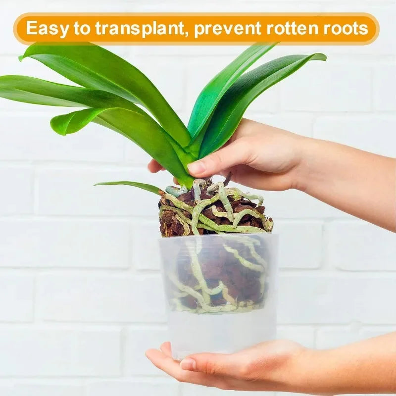 pots transparents modernes fleurs bacs pépinière drainage plastique uni okolets disponibles
