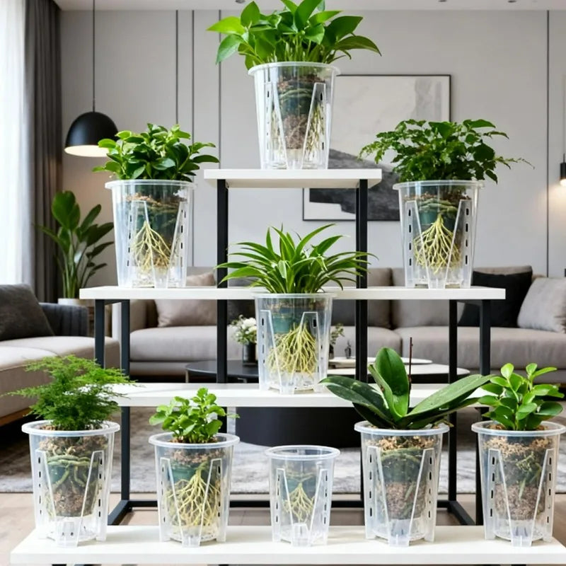 pot plante transparent moderne perforations clips intérieur extérieur 1pc 2pcs 5pcs